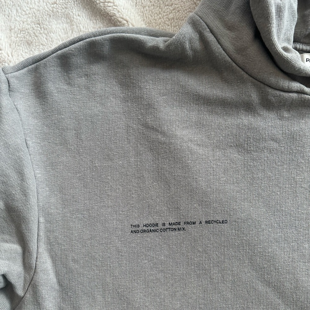 Pangaia Organic Cotton Hoodie - Picture 4 of 5